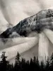 Coperte Coperta da montagna Foresta Tiro Caldo Leggero Letto botanico Morbido per divano