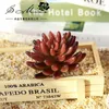 Flores decorativas 9x9 cm Grandes plantas suculentas artificiales Navidad Hogar Jardín Sala de estar Oficina Escritorio Mini Bonsai Suministros para fiestas Falso