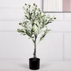 Decorative Flowers Nordic Simulation Olive Basin Landscape With Fruit Tree Indoor And Outdoor Artificial Green Plant Bonsai Decoration