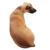 Pluche poppen 3d schattige bend honden geprinte dier kussense lifelike dier grappige hondenhoofd cosplay cosplay kinderen favoriete speelgoedkussen voor huis 230320