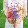 Декоративные цветы 100 голов искусственные ложные детские дыхание Gypsophila свадебное украшение день рождения Diy po props Цветочная филиал