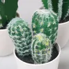 Decoratieve bloemen 1 pc kunstmatige cactus bonsai levense life plant potten simulatie vetplanten bloemen decor sprookje tuin arrangement landschap