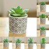 Decorative Flowers 1 Set Imitation Potted Plant Beautiful Simulation Succulent Plants Anti-Fading Waterproof Artificial