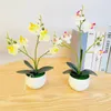 Fiori decorativi 1 Set Pianta in vaso artificiale Anti-deform Anti-sbiadimento Fiore di seta finto Realistico Accattivante Farfalla Orchidea Bonsai per P