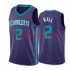 Camisas de basquete personalizadas costuradas bola lamelo Gordon Hayward Miles Bridges Terry Rozier camisa personalizada