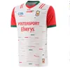 2023 Limerick Cork Dublin Gaa Jerseys 22 23 Down Louth Antrim Wexford Wicklow Laois Mayo Hurling Derry Westmeath Home Away Shirt _Jersey