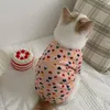 Kedi kostümleri kawaii sfenks süveter için kedi gotas puppi kışlık sıcak evcil hayvan kıyafetleri katten kedi köpek hırka asma maskotas vetement sohbet