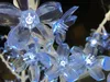 Decoratieve bloemen kransen 6.5ft Hoogte LED Artificiële kersenbloesem Tree Christmas Light 1152pcs Bollen 110/220VAC Regenproof Fairy Garden