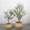 Decorative Flowers Nordic Simulation Olive Basin Landscape With Fruit Tree Indoor And Outdoor Artificial Green Plant Bonsai Decoration