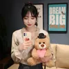 Urso de pelúcia kawaii com boneca de pelúcia de pelúcia