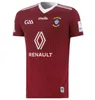 2023 Limerick Cork Dublin Gaa Jerseys 22 23 Down Louth Antrim Wexford Wicklow Laois Mayo Hurling Derry Westmeath Home Away Shirt _Jersey