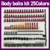 268pcs parafusos de carenagem de motocicletas kit de parafuso completo para kawasaki ninja zx9r zx-9r zx900 zx 900 9r 9 r 900cc 98 99 1998 1999 Moto completo parafuso de parafuso de parafuso corporal parafusos