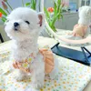 Odzież dla psa ubranie letnie księżniczka słonecznika kantarnia sukienka cienki Bichon Schnauzer miniaturowy pinscher Teddy cat mały dogdog