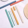 Drinking Straws 1pc Colorful Wheat Straw Creative Portable Detachable Coffee Milk Tea Juice Tube Reusable