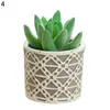 Decorative Flowers 1 Set Imitation Potted Plant Beautiful Simulation Succulent Plants Anti-Fading Waterproof Artificial