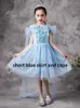 Girl Dresses Princess Skirt Ice And Snow Spring Summer Long Short Sleeve Children's Birthday Dress For Year 2023