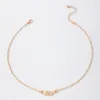 2023 IS INS Trendy Leaf Clavicle Chain Chokker Collana per le donne Cinta di colore oro Corso di gioielli regolabili in metallo