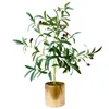 Dekorative Blumen Nordeuropa Simulierte Pflanze Indoor Tropical Green Olive Kleiner TopfDesktop-Dekoration Bonsai Home Decore Gefälschte Pflanzen