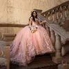 Różowa księżniczka quinceanera sukienki suknia balowa 3dflower koronkowe aplikacje koraliki Słodka 16 sukienka Vestidos de 15 Anos Prom