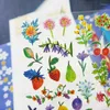 Confezione regalo Corea Divertente Scrapbooking Adesivo di alta qualità Frutta e fiori Cancelleria Decorazione artigianale fai-da-te Forniture per la casa