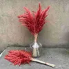 Decorative Flowers 10 Stems Red Color Large Size Real Dried Pampas Grass Wedding Decor Flower Bunch Natural Plants Home Fall