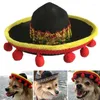 Psa odzież mini sun hat cat meksykański styl zabawny festiwal imprezowy halloween dla małych średnich psów