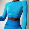 2024new lu naadloze set vrouwen 2 van de tweedelige tweedelige crop top thirt leggings leggings outfit kleding sportschool dragen fitness