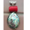 Hanger kettingen Mooie sieraden Zeeland ABALone Shell Art Egg Bead PD1015