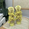 Botas de botas femininas Botas de designer clássico bota de neve casta