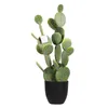 Flores decorativas cactus planta suculenta artificial Planta falsa deserto bola de espinho de espinhos de largada de flores Decoração de jardim da família