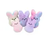 Gradiente por atacado Peeps Peeps Bunny Toys 15cm Colorido Rabbit Gifts Favory Favor for Kids Family