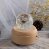 Other Event Party Supplies 60/70mm Dandelion Crystal Ball With Stand LED Light Dandelion Flower Crystal Glass Resin Lens Ball Surprise Woman Birthday Gift 230321