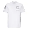 メンズTシャツF1Tシャツレーシングスーツチームバージョン2023レーシングスーツ短袖TシャツファクトリーチームバージョンチームワークラペルポロシャツカスタムプラスサイズM230410