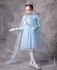 Flickaklänningar Princess Kjol Ice och Snow Spring Summer Long Short Sleeve Children's Birthday Dress för år 2023