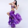 Stage Wear Costume de danse du ventre de luxe BraBeltSkirt Sexy Dancing Women Clothes Set Bellydance