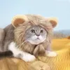 Cat Costumes Pet Hat Costume Cosplay Lion Mane Wig Cap Kawaii Adjustable Dress Up Supplies Cartoon Toy