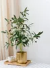 Dekorative Blumen Nordeuropa Simulierte Pflanze Indoor Tropical Green Olive Kleiner TopfDesktop-Dekoration Bonsai Home Decore Gefälschte Pflanzen