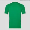 2024 2025 2002 1994 KEANE Retro Ireland Soccer Jerseys 1988 1990 1992 1996 1997 02 03 Classic Vintage Irish Mcgrath Duff STAUNTON HOUGHTON Mcateer men kids