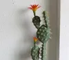 Decoratieve bloemen 70 cm kunstmatige levensechte cactus planten nep groene tropische bonsai plastic indoor pot pot home woonkamer kantoor bureaublad