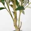 Fleurs décoratives 80 cm Olivier Artificielle Plante En Plastique Simulation Petit Bonsaï Faux Vert En Pot Pour La Maison El Pographie Verdissement Décor