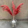 Decorative Flowers 10 Stems Red Color Large Size Real Dried Pampas Grass Wedding Decor Flower Bunch Natural Plants Home Fall