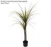 Fiori decorativi Foglie finte Albero Pianta Bonsai Ornamenti Simulazione Piante verdi Decorazione interna artificiale su larga scala Dracaena