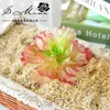 Decorative Flowers 13cm Large Lotus Artificial Succulents Plants DIY Flower Arrangement Accessories Christmas Halloween Home Garden Desktop