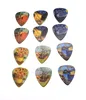 12pcs 0.71mm Packed Guitar Picks Two Side World Famous Peinture Musical Plectrums Great Tin Box