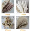 Decorative Flowers 80Pcs Dried Bouquets Pampas Tail Grass Whisk For Wedding Tables Centerpieces Room Decortion Items Home Decor