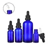 Flaconi contagocce vuoti in vetro blu Flaconi per imballaggio Tappo nero Tamper 5ml 10ml 15ml 20ml 30ml 50ml 100ml Contenitore riutilizzabile per olio essenziale cosmetico