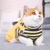 Costumes de chat 1 pièces veste rembourrée en coton empêcher la laine bretelles douces confortables quatre pieds chaud imprimé Polyester ménage fournitures pour animaux de compagnie