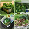 Decorative Flowers 32PCS 5 Size Artificial Moss Rocks Green Balls Fake Decor For Floral Arrangements Gardens