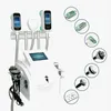 Aesthetic Equipment Cryolipolyse 3 Handles Fat Freeze Lose Weight Cryolipolysis Machine Fat Freezing Slimming Cryolipolysis 360°