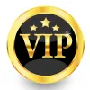 VIP-betalingslink Novelty Games van klant wordt verzonden via de gemengde stijl in het communicatieformulier.